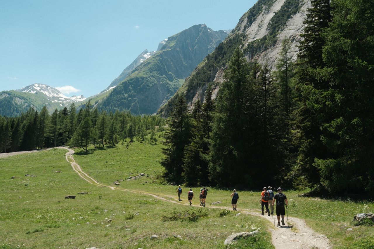 Group of hikers enjoys a sunny day trekking in the Swiss Alps, surrounded by lush greenery.